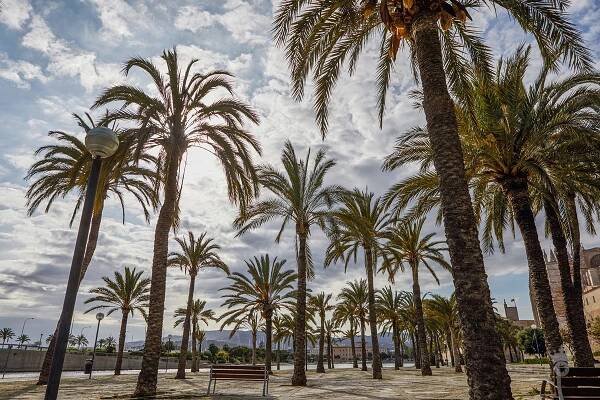 Palma De Mallorca 271