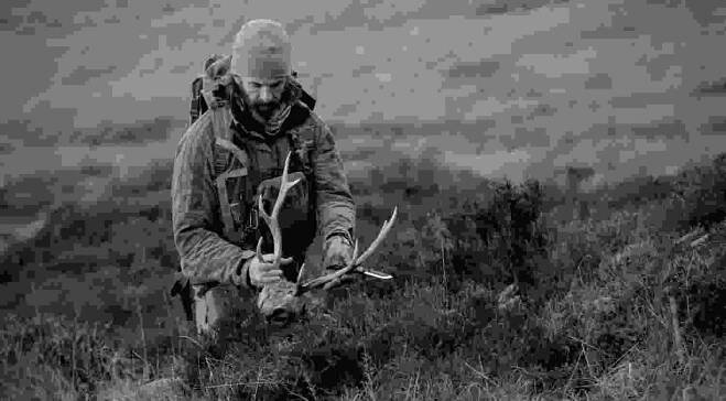 Hunting rifles, Ammunitions and blogs