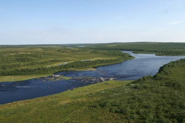 Ruský rybář ulovil obrovského lososa, podle statistik IGFA jde o rekord - iRybářství