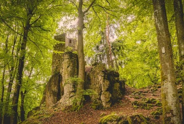 Ruine Poppberg auf einem Felsen im Buchenwald