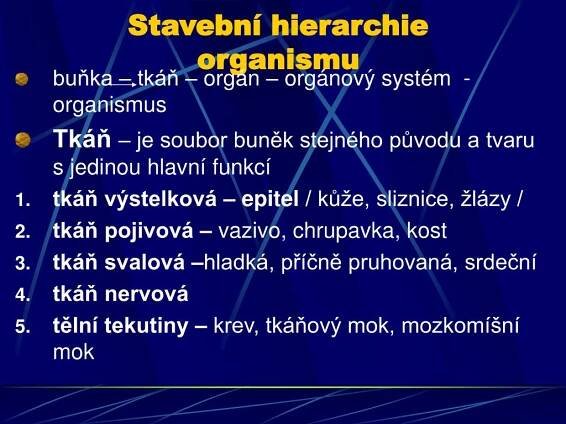 PPT - Základy biologie člověka PowerPoint Presentation, free download - ID:5645767