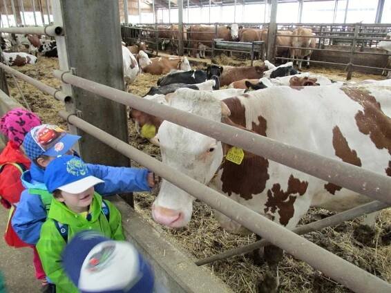 Farma Suchý Důl | MŠ Police nad Metují