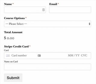 stripe payment order form example - WPForms