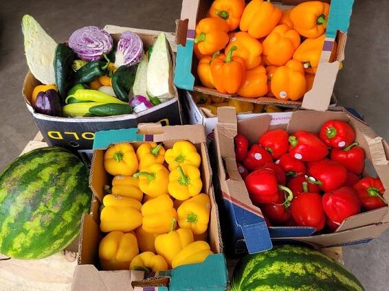Manna Friends & Photos - The Manna Food Project