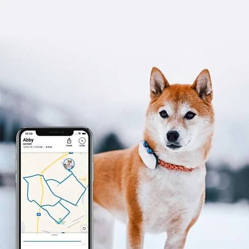 Tractive GPS DOG 4 – GPS sledování polohy a aktivity pro psy