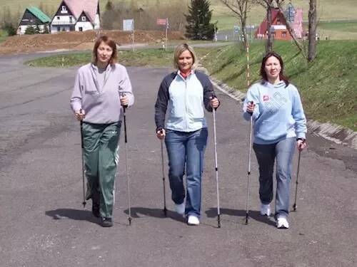 Nordic walking v Krušných horách