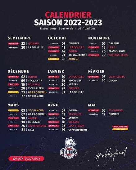 Presse | Nantes Basket Hermine