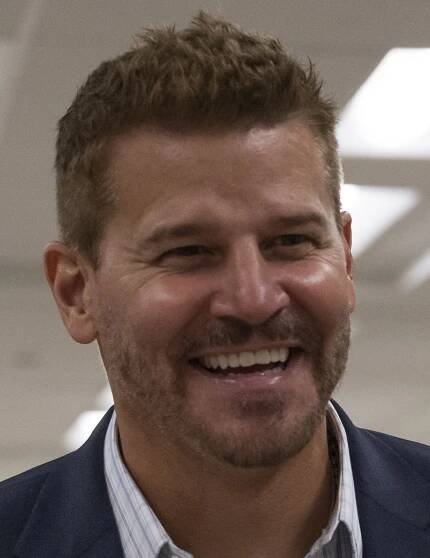 David Boreanaz