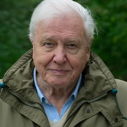 ‘David Attenborough: A Life on Our Planet’ Review: Ruin and Regrowth
