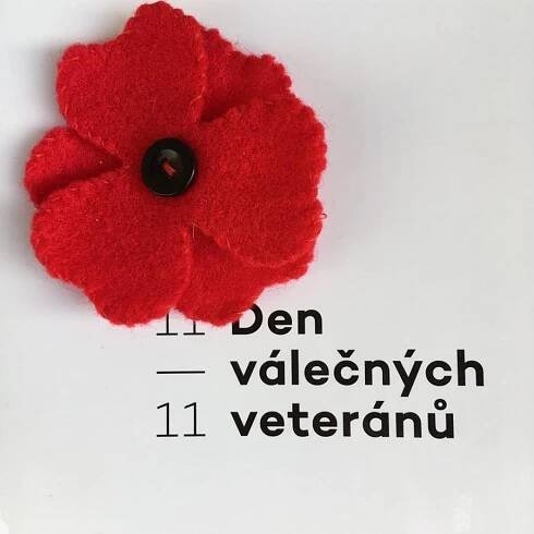Vlčí máky kvetou i letos na podzim! | Městská knihovna Chrudim