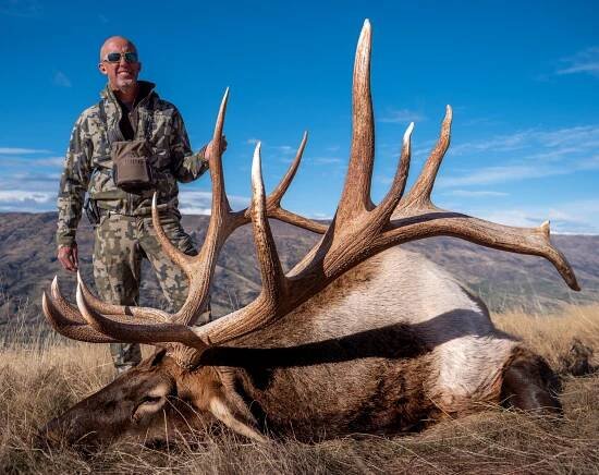 Hunt Elk/Wapiti in New Zealand with Venator Cardrona Safaris | Ultimate Trophy Hunting