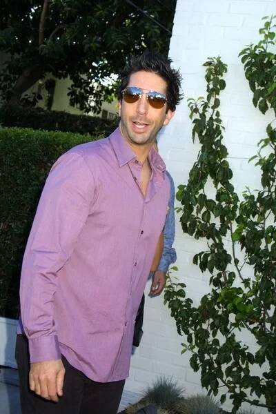 David Schwimmer — Stock obrázek