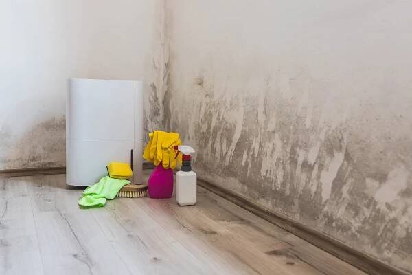 Why Dehumidifier Has Smell, How To Remove?