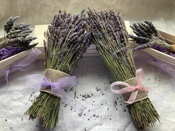 Dried Lavender Bunch