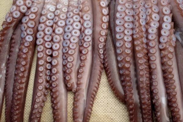 The 10 Most Bizarre Korean Foods You Should Try Out | 10 Magazine Korea
