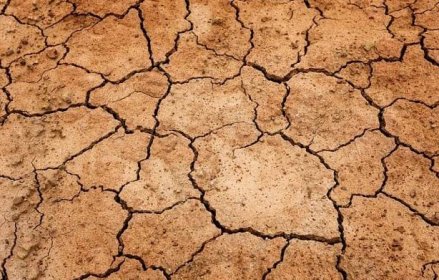 Dlouhotrvající sucho povede v severoafrických zemích k výrazným ztrátám na výnosech