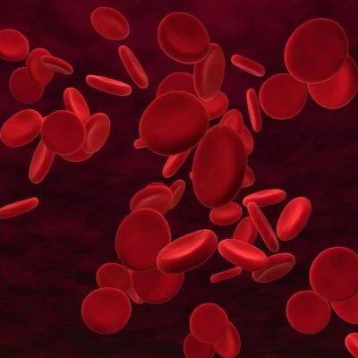 Identification of new potential therapeutic approach to blood disorders - NIDDK