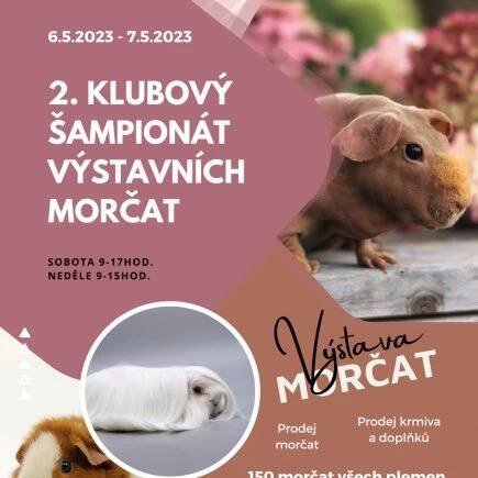 Výstava morčat | Výstaviště Flora Olomouc, a. s.