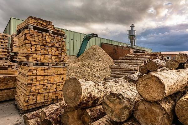 Biomasa, včetně dřeva, efektivně nahrazuje méně ekologické uhlí - Dřevostavitel.cz