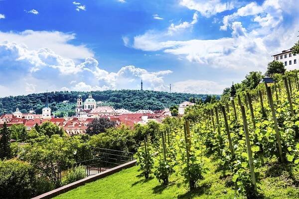 Vinobraní Villa Richter
