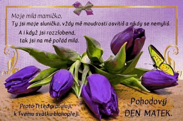prani_k_svatku_matek_2