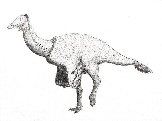 Soubor:Paraxenisaurus normalensis as Deinocheirid.jpg