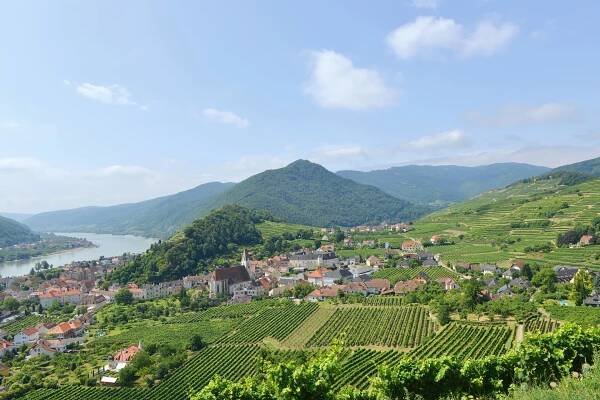 Region - Weingut - Heuriger - Gästezimmer Özelt, Spitz / Wachau