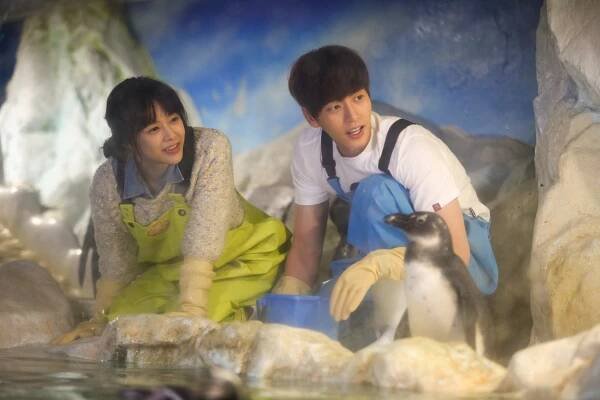 Hae-jin Park