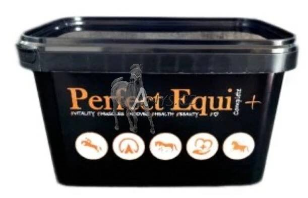 Perfect Equi Complete+