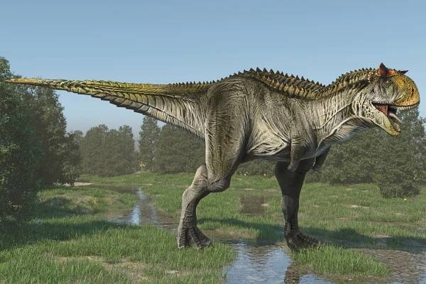 Carnotaurus: Steckbrief & 6 Merkmale des Dinosauriers » schreiben.net
