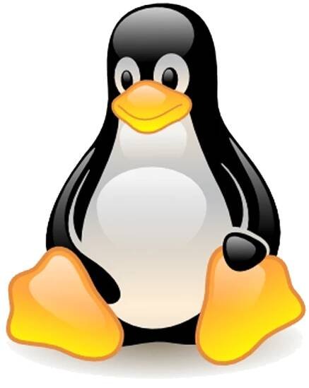 Ki-Wi Player has full Linux compatibility