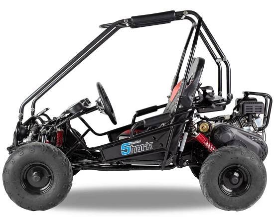 Buginy - Motokáry - UltimateRacing.cz