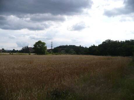 Březenský vrch