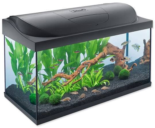 Plaček PREMIUM s.r.o.. Akvárium set TETRA Starter line LED 78 x 49 x 37 cm 105l