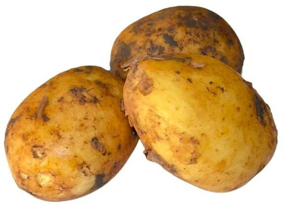 Obrázek