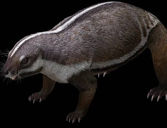 Madagascar's prehistoric 'crazy beast' sheds light on mammalian evolution