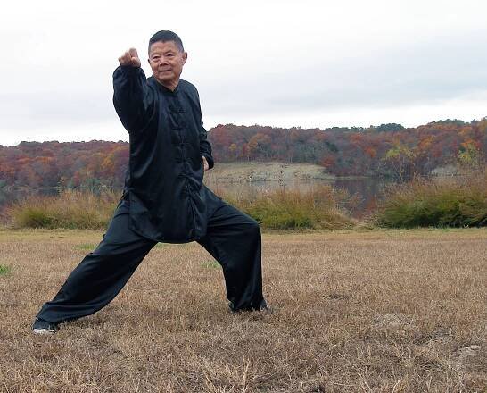 Gallery - Master Xiao Healing