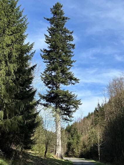 ORTOPOINT - Pro malé i velké.