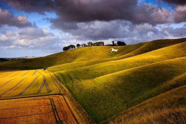 Rolling countryside with golden sidelighting