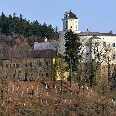 Hrad Malenovice | Slevomat.cz
