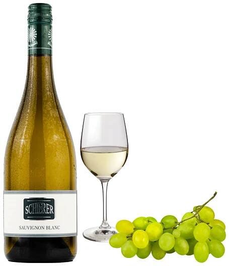 Sauvignon blanc 2024