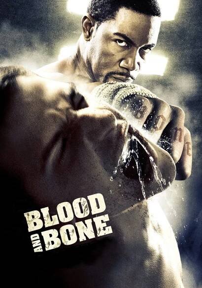 Sledování titulu Blood and Bone: kde sledovat?