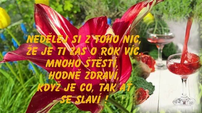 Blahopřání k narozeninám