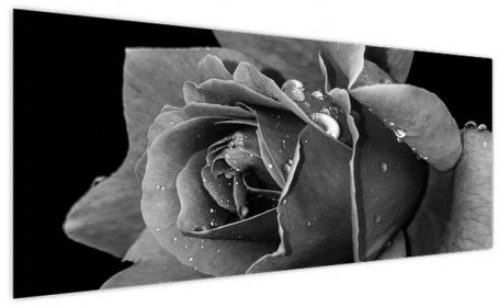 Obraz růže - černobíla (V021394V250125)
