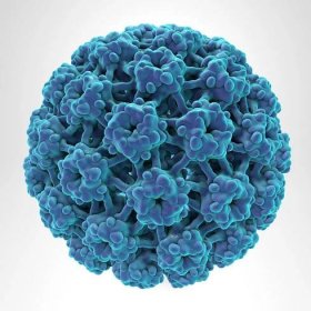 lidský papilomavirus na barevném pozadí - lidský papilomavirus - stock snímky, obrázky a fotky