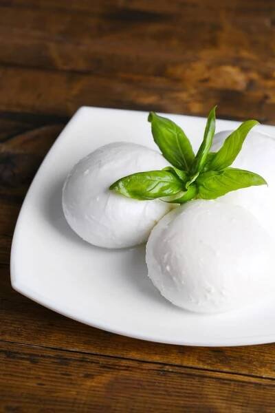 three balls of mozzarella on a white plate with green leaf sprig