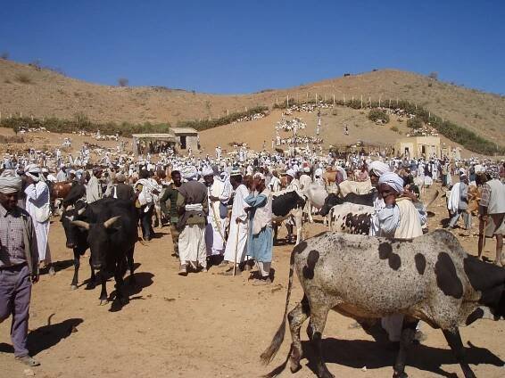 Eritrea – kousek Itálie v Africe