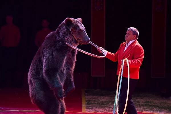 Cirkus Humberto potěšil v Hodoníně i děti z Dětského domova