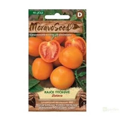 Semínka MoravoSeed Rajče tyčkové ZLATAVA, oranžové 65350