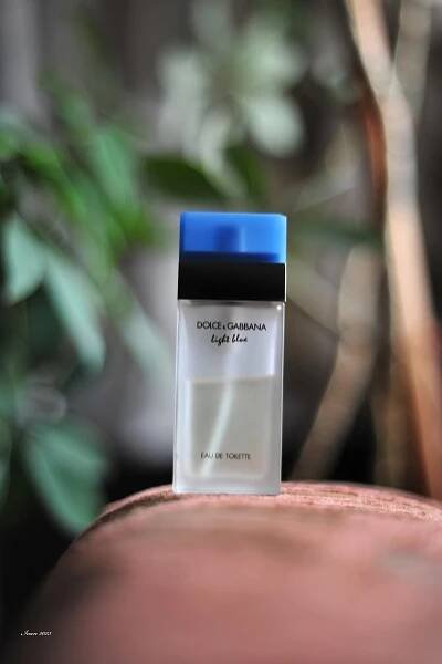 Light Blue Dolce&Gabbana pro ženy